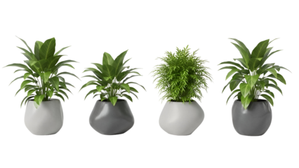 Collection of green plants in modern potted planters