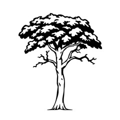 tree silhouette vector
