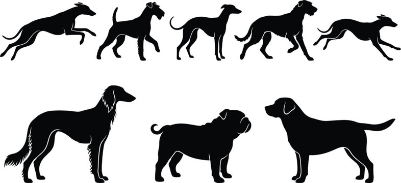 Dog breed silhouette set, running and standing canine poses, domestic animals collection, isolated white background, black vector illustration design art