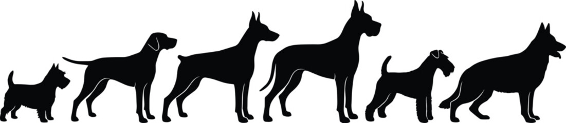 Silhouette, dog, breed, size, comparison, lineup, black, pet, animal, diversity, small, large, canine, profile, posture, growth, progression, domestic, graphic, illustration