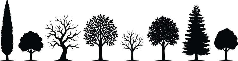 Tree, silhouette, nature, foliage, diversity, black, botanical, landscape, environment, seasonal, forest, leafless, leafy, shape, growth, outdoor, design, illustration, graphic, concept