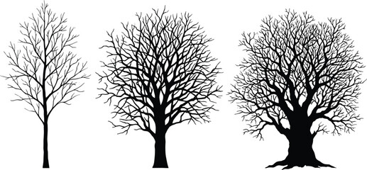 Tree, silhouette, leafless, black, branches, nature, winter, forest, illustration, graphic, isolated, bare, trunk, seasonal, landscape, botanical, minimal, artistic, profile, design
