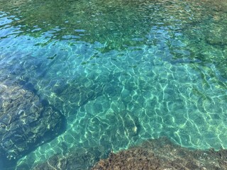 Crystal clear emerald sea with algae.