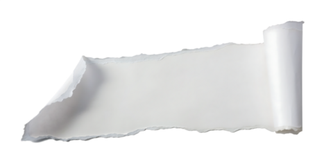 Torn white paper strip with rolled edge isolated on a transparent background torn paper