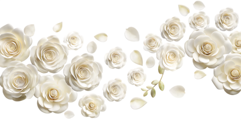 White paper roses and petals on isolated on a transparent background white flowers