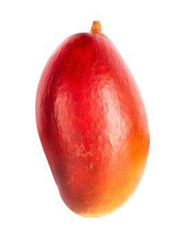 Fresh ripe red yellow mango fruit with stem isolated on transparent background