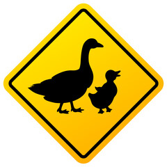 Warning road sign birds on road