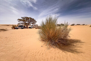 Mauritanian desert. A group of 4x4 campers stopped near an acacia tree with a clump of camel grass in the foreground. © Louis-Michel DESERT