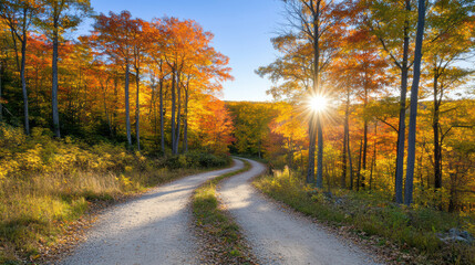 Fototapeta premium Autumn forest path with golden leaves and warm sunburst lighting winding dirt road