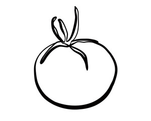 Tomato icon in doodle sketch style. Vector whimsy illustration of an isolated tomato.