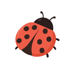 Obraz premium Ladybug vector illustration of cute red ladybug with black spots, smiling ladybug insect isolated on white background, spring nature element