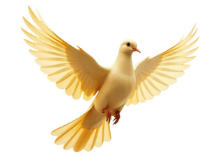 Obraz premium A peaceful bird soars through the sky with its wings outstretched, symbolizing hope and freedom