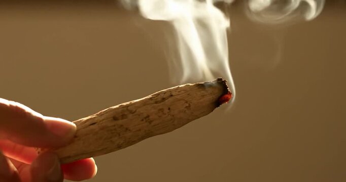 Palo Santo stick burning with smoke swirls. Cleansing ritual.