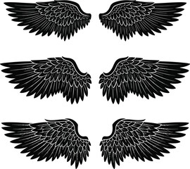 Obraz premium Detailed Black Wings Vector Set Engraving Style Design Elements