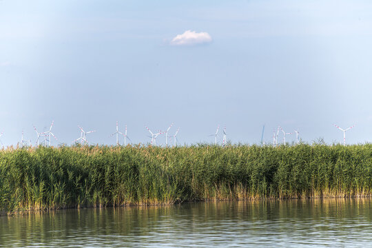 Schilf und Windr&auml;der