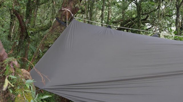 Hiking, camping, pitching hammocks and tents in the forest on the mountains.
