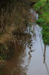 Water in a drainage ditch