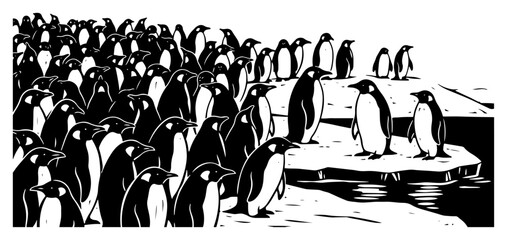 Large colony of emperor penguins gathering on an ice floe in antarctica