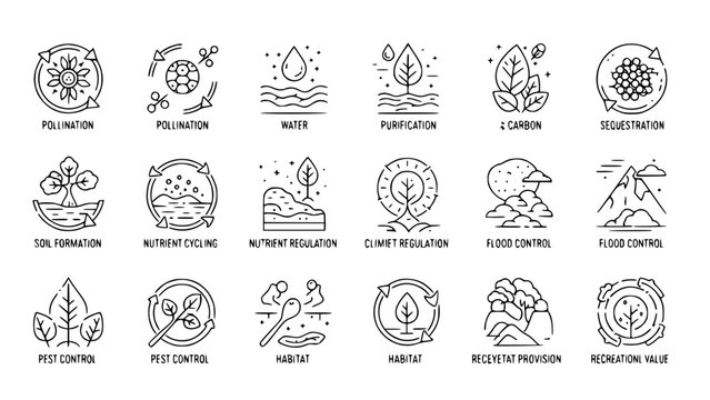Bioremediation icons illustrate environmental processes in outlines or Ecological icons depict ecosystem services in glyphs