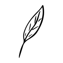 Hand Drawn Minimalist Botanical Sprig. Vector Line Art Branch with Leaves