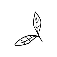 Hand Drawn Minimalist Botanical Sprig. Vector Line Art Branch with Leaves