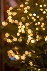 Warm golden bokeh Christmas lights on fir tree branches