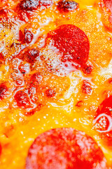 Close-up of a slice of pizza with artisanal pepperoni, mixed cheeses, and Neapolitan sauce
