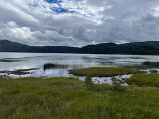 夏の終わりを迎えた尾瀬沼の湿原。