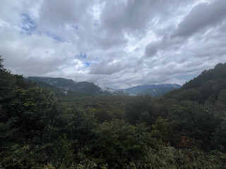 秋の尾瀬、沼山峠周辺に広がる樹林帯の風景。