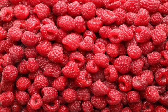Fresh ripe raspberries as background, top view