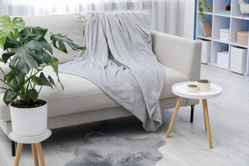 Stylish room with monstera houseplant near comfortable sofa. Interior design