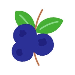 手書き風の単品アイコンイラスト　果物　ブルーベリー