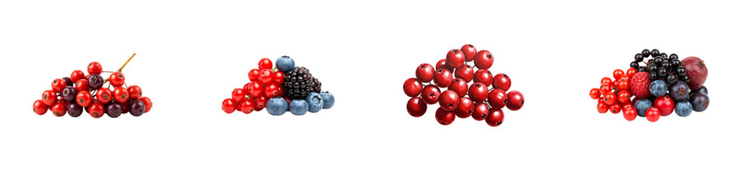 Four assorted piles of fresh berries including redcurrant, blueberry, blackberry, and rowanberry, showcasing a mix of photographic and watercolor illustration styles in a vibrant set