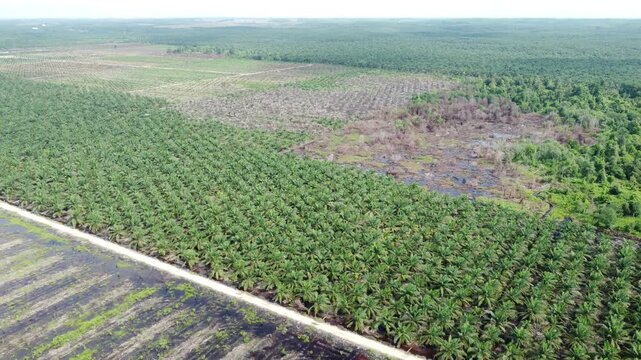 Aerial View of Flooded Villages After Deforestation in Sumatra