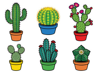Collection of Six Potted Cactus Plants.