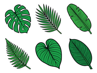 Collection of Tropical Leaves Vector Illustration.