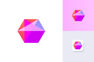 hexagon and star icon logo design illustration vector template