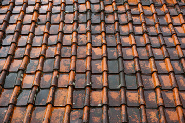 The house roof tiles made of clay were covered in moss and looked wet when it rained during the day