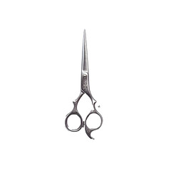 High-quality professional hairdressing scissors made of polished stainless steel, featuring sharp, precise blades and an elegant ergonomic design. Isolated on a white background, this realistic tool i