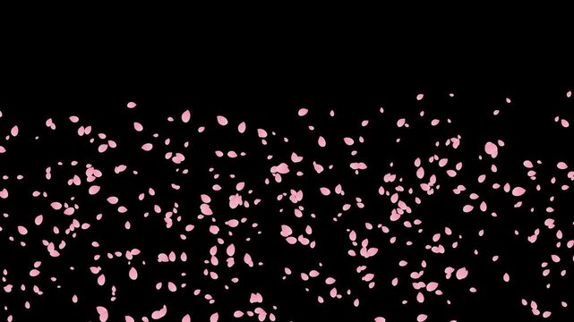桜の花びらが左から右へ流れて散る動画　黒背景