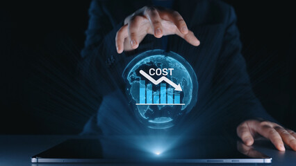 Cost reduction and cost saving through digital transformation, business cost optimization,...