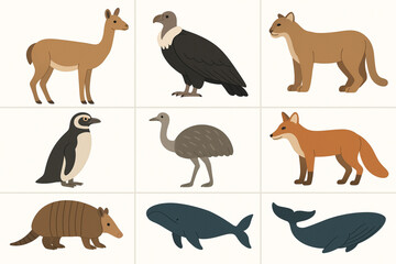 Patagonian Argentina Wildlife Icon Grid with Guanaco, Condor and Penguin in Flat Vector