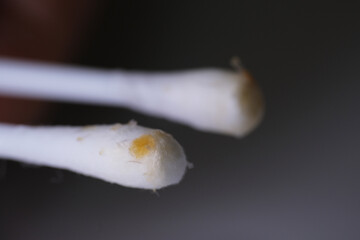 Close up of cerumen. It is a waxy substance secreted in the ear canal of humans and other mammals