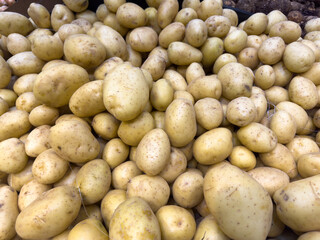 Fresh Yellow Potatoes Pile