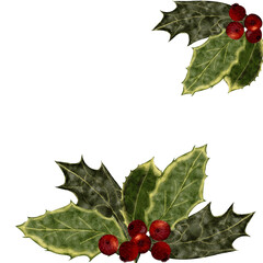 Holly branch with green leaves, red berries, watercolor frame isolated on white background. Christmas botanical element for winter decorations, holiday cards, packaging, invitations, seasonal design