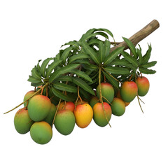 Realistic fallen mango branch, dense foliage, sharp focus, high detail. Ideal for food packaging, healthy recipes, summer marketing, tropical culinary designs. Isolated on transparent background.