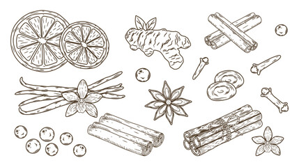 Hand drawn collection of winter spices and flavorings including cinnamon, star anise, ginger, vanilla, and citrus slices, isolated line art sketch