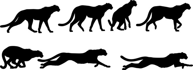 Black Cheetah Big Cat Vector Silhouettes Collection, Fast Running Wild Animal Graphic Set for African Safari Wildlife, Speed, Predator, and Nature Reserve Design.
