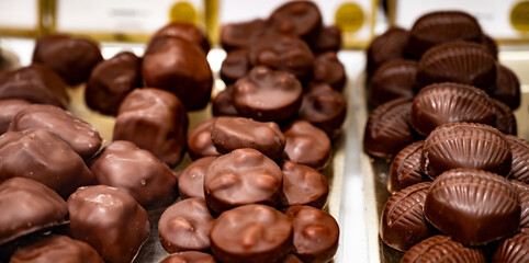 Handmade chocolate praline bonbons, hogh quality without palm oil, elegant, bite-sized treats with glossy coatings, rich cacao, with different fillings