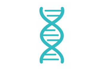 Dna double helix icon representing genetics and scientific innovation, human biology illustration with transparent background